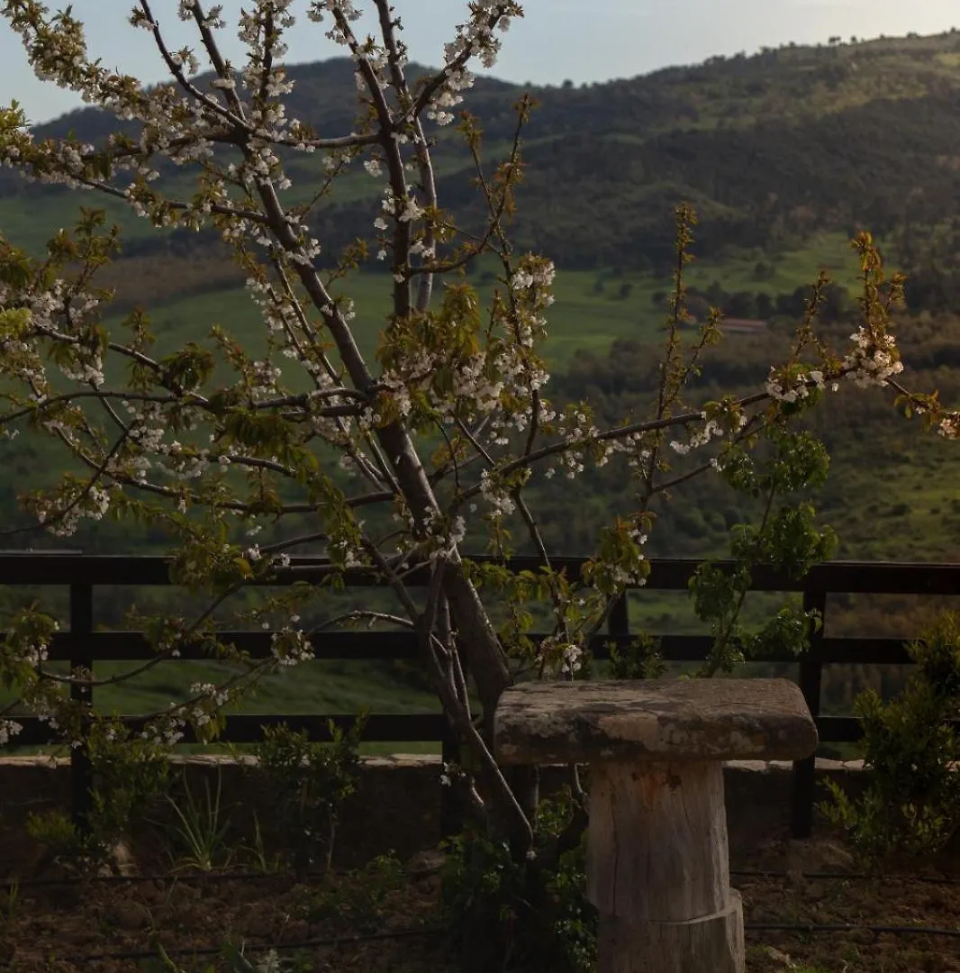 Montesoprano Agriturismo - Resort - Spa - Gym -Camping - Suite Capizzi